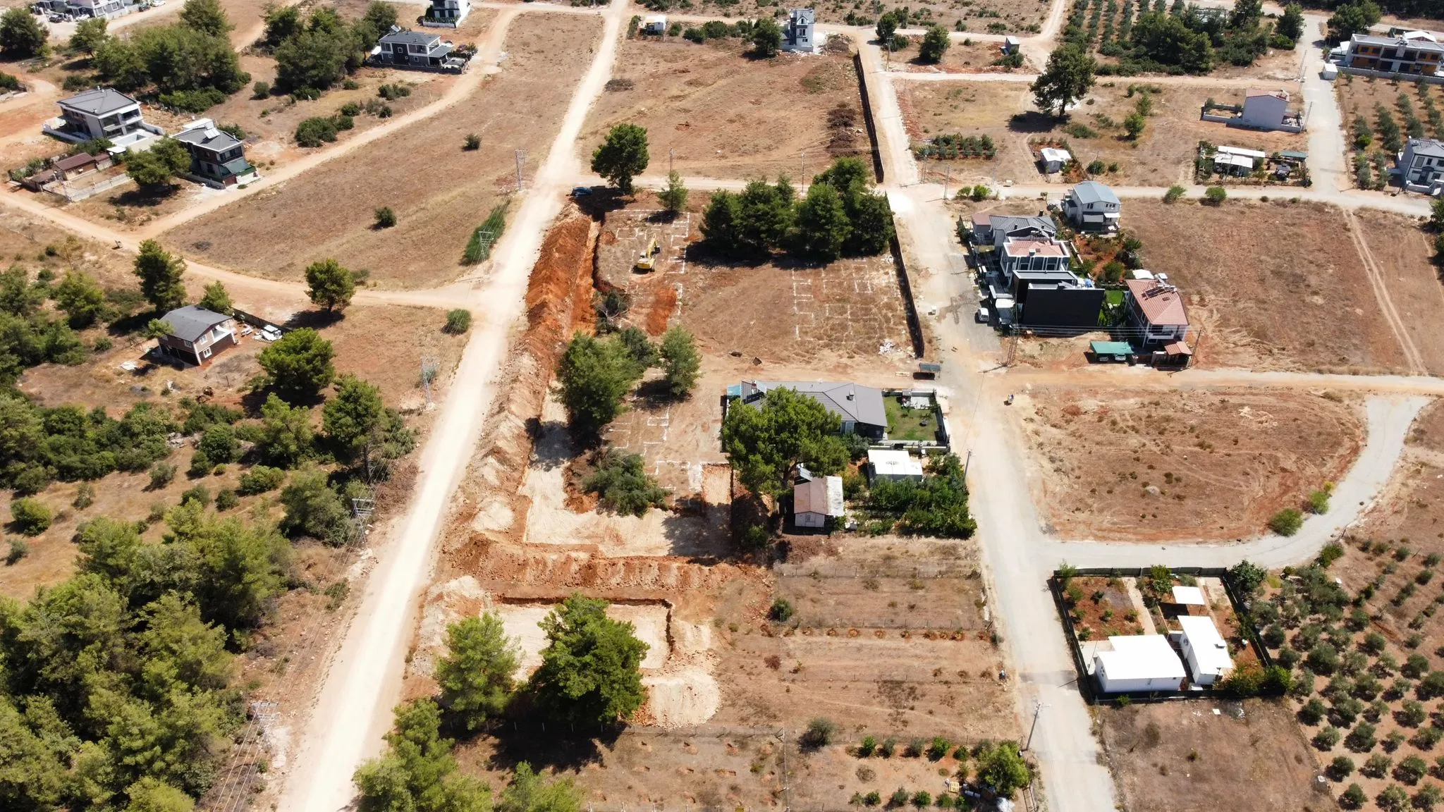 ufuk-palmiye-img-002